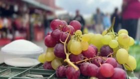 VIDEO Strugurii, dulcea capcană a toamnei. Cât zahăr ascund și de ce trebuie consumați cu moderație?